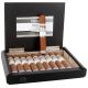 Plasencia Cosecha 146 La Musica Robusto [5 X 50] Box of 10