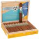 Avo Syncro South America Ritmo Robusto Box of 20