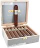 Cohiba Nicaragua Gigante 6x60 Box of 16