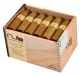 Nub Connecticut 464 Torpedo Box of 24